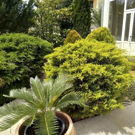Apartment Villa Gregovica 2 Apartmani & Suit *