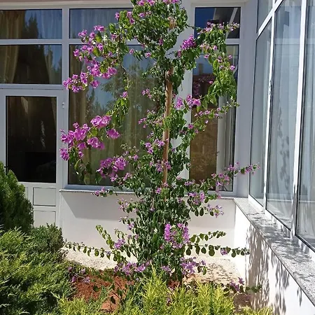 Villa Gregovica 2 Apartmani & Suit